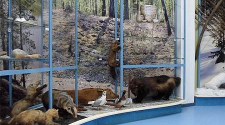 Выставка «Древности Сыни»